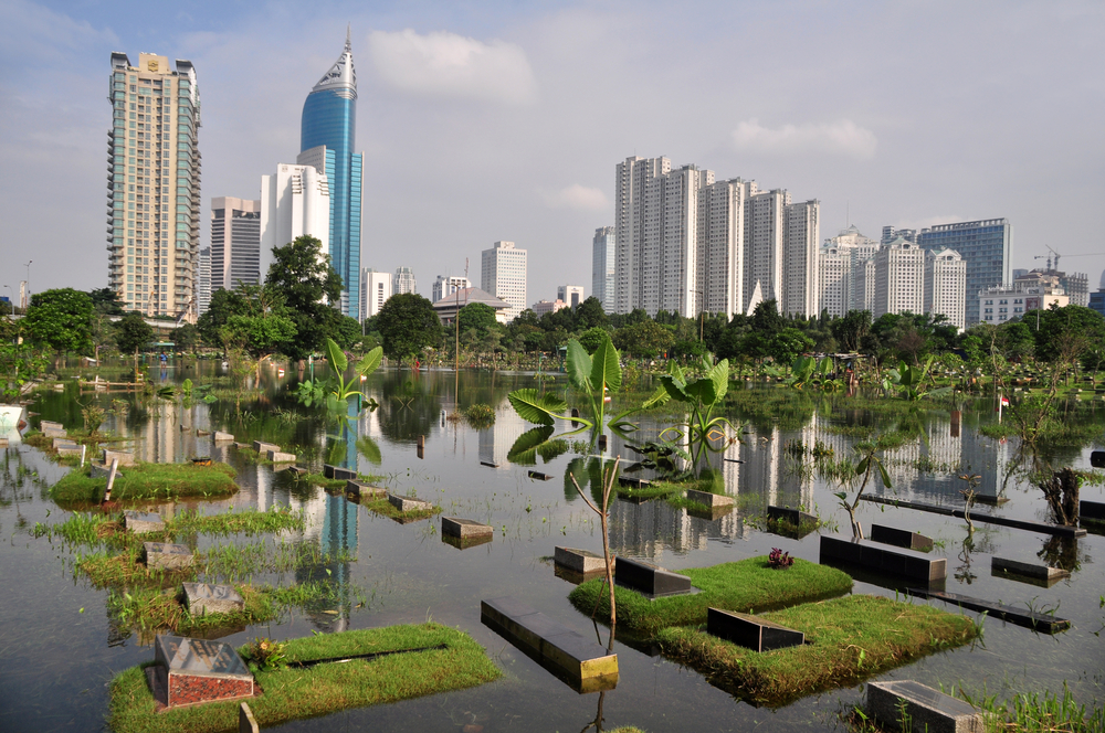 East Asia's rapid urbanisation set to continue - News